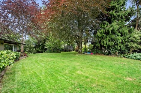 Photo of property in 255 Bankwood Road, Chartwell, Hamilton, 3210