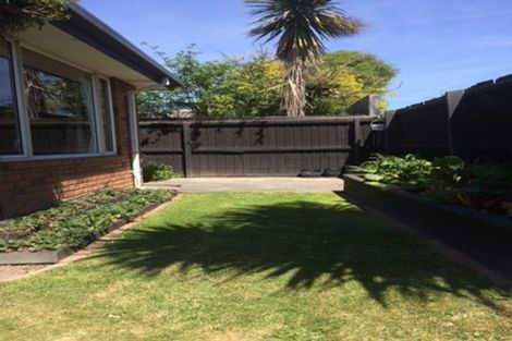 Photo of property in 79 Highsted Road, Bishopdale, Christchurch, 8053