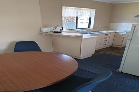 Photo of property in 33 Ruahine Street, Roslyn, Palmerston North, 4414