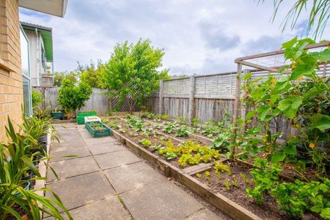 Photo of property in 22 Golf Road, Tahunanui, Nelson, 7011