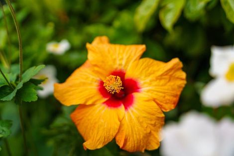 Photo of property in 173b Tara Road, Mangawhai, 0573