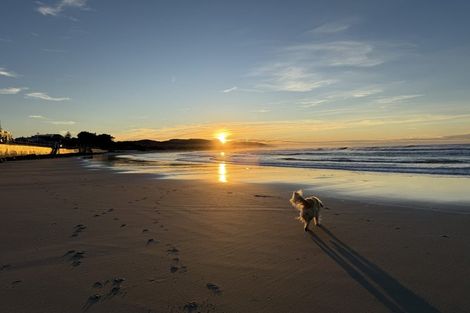 Photo of property in 29 Norfolk Street, Saint Clair, Dunedin, 9012