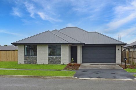 Photo of property in 38 Petries Road, Woodend, 7610