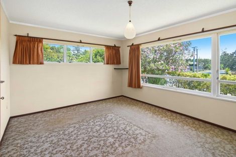 Photo of property in 31 Donny Avenue, Chartwell, Hamilton, 3210