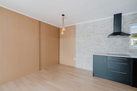 Photo of property in 29 Sayer Street, Frankton, Hamilton, 3204
