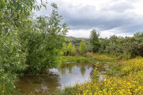 Photo of property in 839b Chester Road, West Taratahi, Carterton, 5791