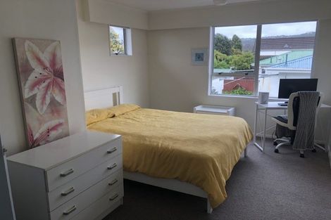 Photo of property in 66 Brunswick Street, Hutt Central, Lower Hutt, 5010