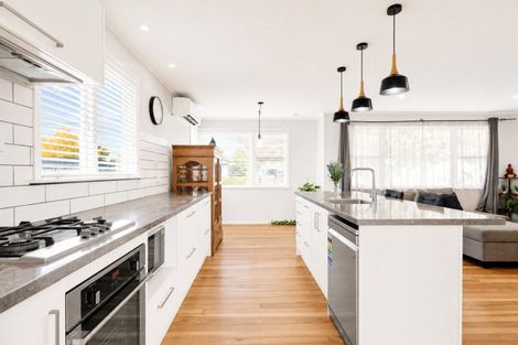 Photo of property in 18 Larnach Street, St Andrews, Hamilton, 3200