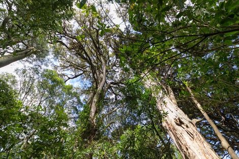 Photo of property in 499 Sandon Road, Feilding, 4779