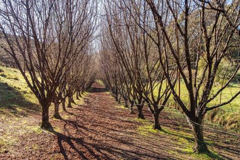 Photo of property in 9 Harmans Track, Little River, 7591