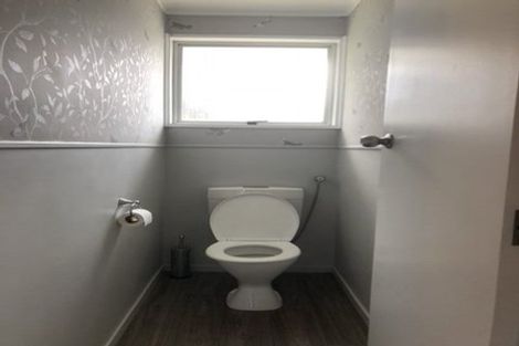 Photo of property in 28 Lethborg Street, Dinsdale, Hamilton, 3204