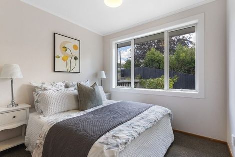 Photo of property in 41 Woodstock Road, Forrest Hill, Auckland, 0620