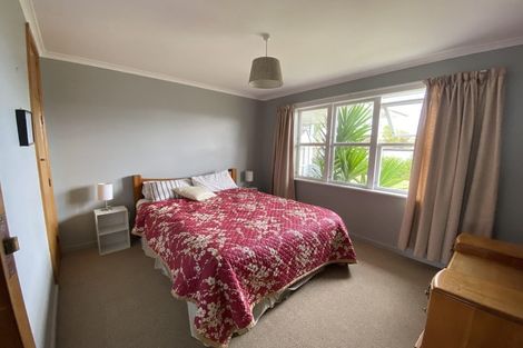Photo of property in 17 Lybster Street, Blenheim, 7201