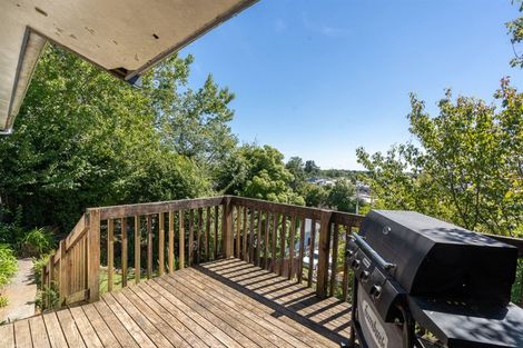 Photo of property in 20a Glenview Terrace, Glenview, Hamilton, 3206