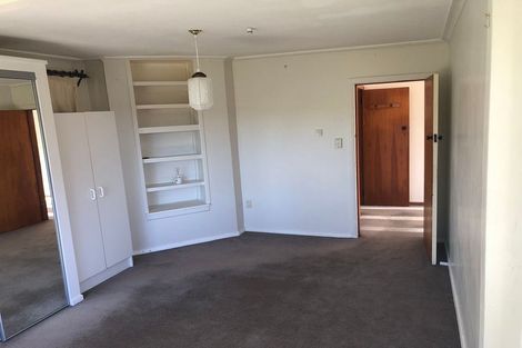 Photo of property in 19 Priscilla Crescent, Mornington, Wellington, 6021