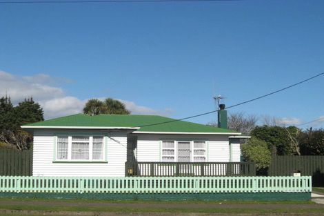 Photo of property in 20 Middlesex Street, Levin, 5510