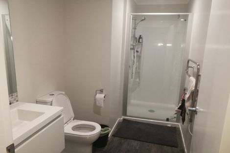 Photo of property in 20u3 Hunter Street, Hamilton Lake, Hamilton, 3204