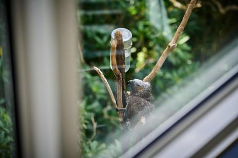 Photo of property in 64a Orangi Kaupapa Road, Northland, Wellington, 6012