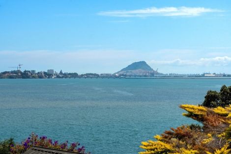 Photo of property in 266 Maungatapu Road, Maungatapu, Tauranga, 3112