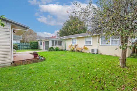 Photo of property in 49 Fox Street, Woodville, 4920