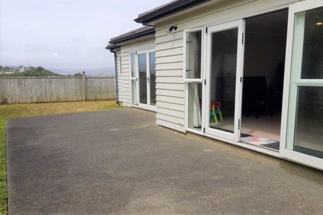 Photo of property in 49 Staithes Drive North, Whitby, Porirua, 5024