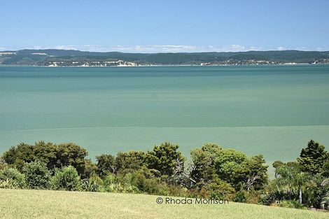 Photo of property in 23 Te Wairoa Lane, Tinopai, 0593