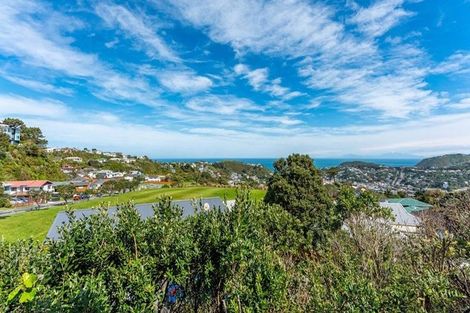 Photo of property in 16 Southgate Road, Southgate, Wellington, 6023