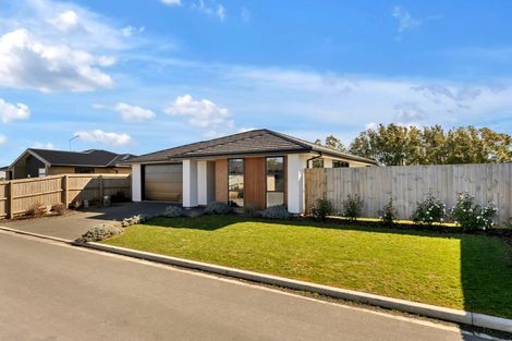 Photo of property in 170 Hendersons Road, Hoon Hay, Christchurch, 8025