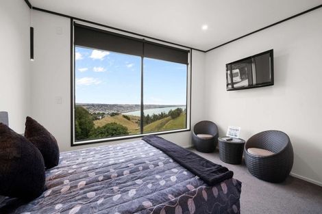 Photo of property in 30 Brinkburn Street, South Hill, Oamaru, 9400