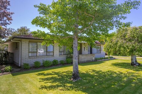 Photo of property in 19 Mcmaster Street, Greytown, 5712