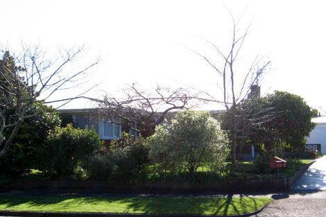 Photo of property in 17 Henare Street, West End, Palmerston North, 4412