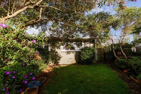 Photo of property in 6 Magenta Place, Dinsdale, Hamilton, 3204