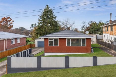 Photo of property in 17 Sholson Street, Putaruru, 3411