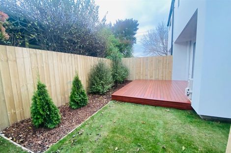 Photo of property in 35b Clarence Street South, Addington, Christchurch, 8024