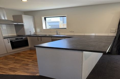 Photo of property in 117a Nursery Road, Phillipstown, Christchurch, 8011