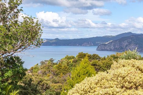 Photo of property in 15 Puriri Place, Tuateawa, Coromandel, 3583