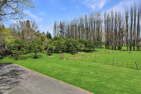 Photo of property in 237 Thornton Road, Thornton, Whakatane, 3194