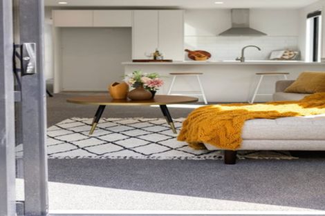 Photo of property in 155u3 Rimu Street, Maeroa, Hamilton, 3200