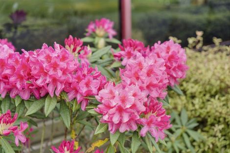 Photo of property in 6170 State Highway 12, Arapohue, Dargaville, 0374