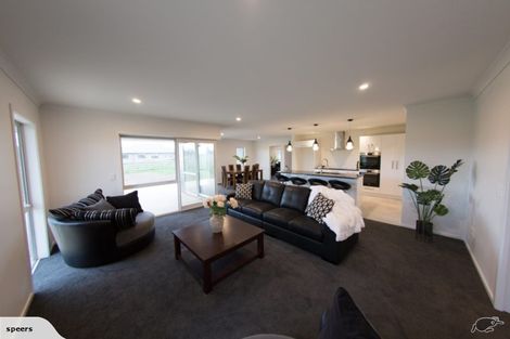 Photo of property in 19 Clare Court, Feilding, 4777