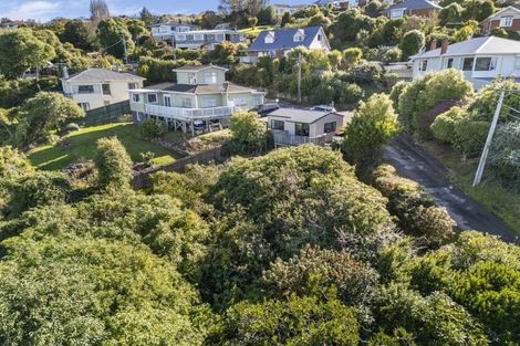 Photo of property in 43 Forfar Street, Clyde Hill, Dunedin, 9011