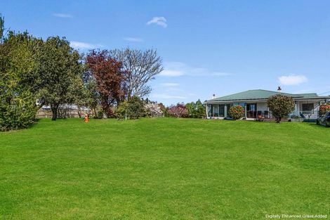 Photo of property in 91 Thomas Street, Waikouaiti, 9510