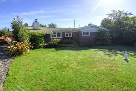 Photo of property in 41 Colville Street, Masterton, 5810
