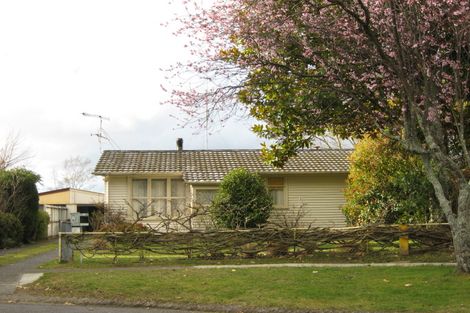 Photo of property in 12 Paehoro Grove, Turangi, 3334