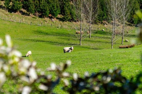 Photo of property in 275 Admiral Road, Admiral Hill, Gladstone, 5883