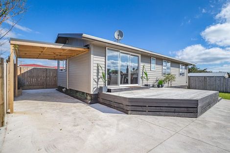 Photo of property in 638 Queen Street East, Levin, 5510