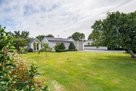 Photo of property in 31 Naylor Street, Hamilton East, Hamilton, 3216