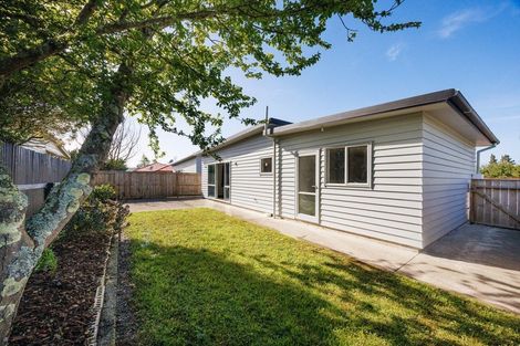 Photo of property in 3a Chamberlain Street, Feilding, 4702