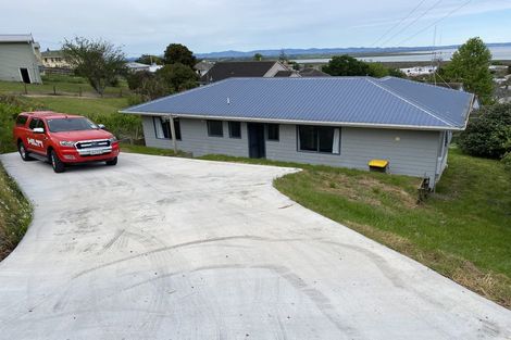 Photo of property in 107 Danby Street, Thames, 3500