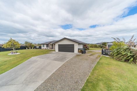 Photo of property in 49 Wapiti Avenue, Feilding, 4775